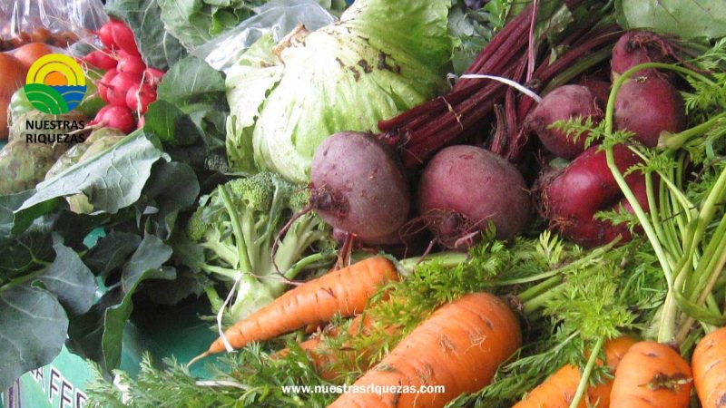 Feria artesanal y productiva se desarrollará en Paute