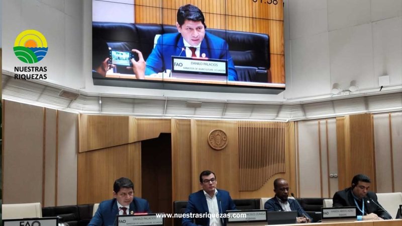 En Roma, ministro Palacios presenta acciones para evitar presencia de plagas que afectan al banano