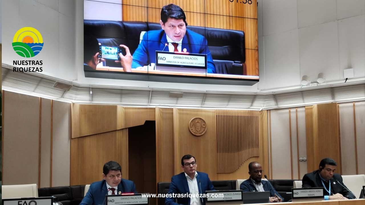 En Roma, ministro Palacios presenta acciones para evitar presencia de plagas que afectan al banano