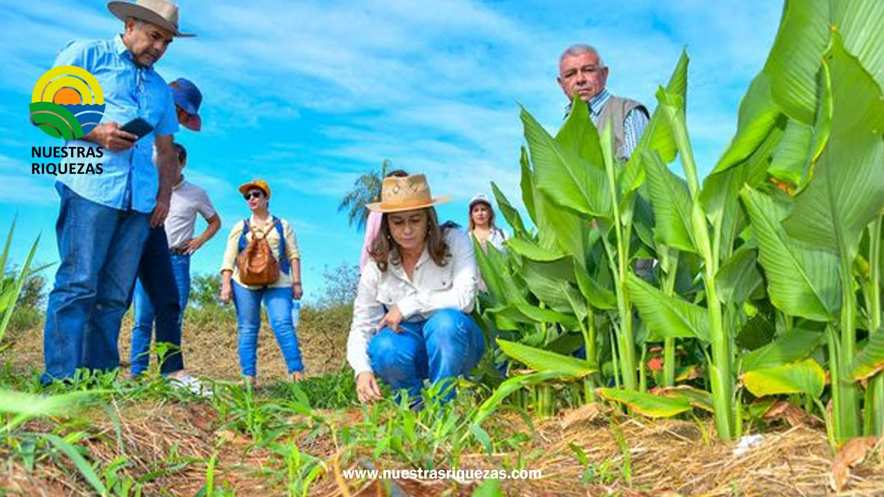 Gira técnica con Cordinadores Técnicos de la REAF MERCOSUR.