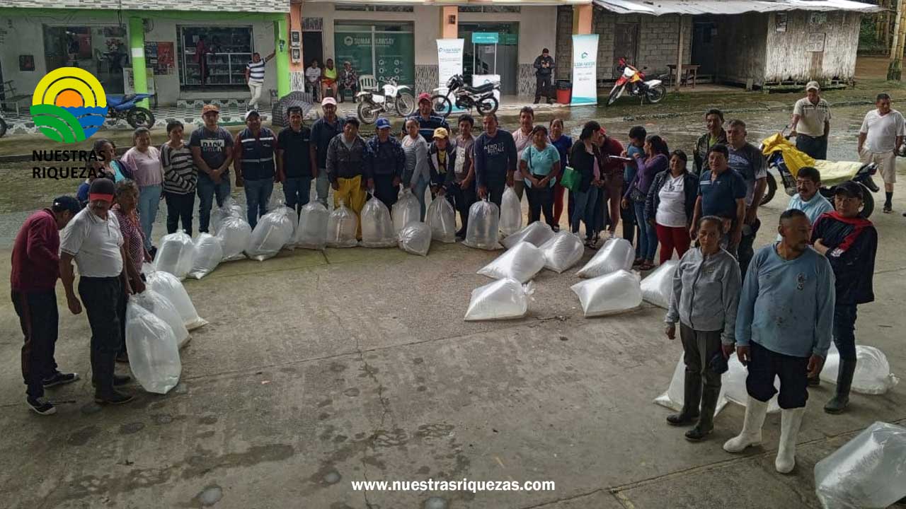 Productores de Guasaganda y Pucayacu reciben 50.400 alevines de tilapia