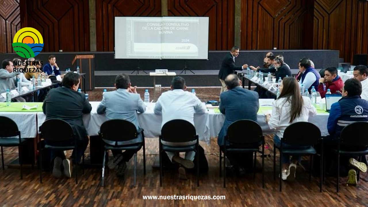 Comisión Permanente Especializada aprobada en el primer Consejo Consultivo de la Cadena de Carne Bovina, genera política de Estado que apoyará el desarrollo del sector cárnico bovino