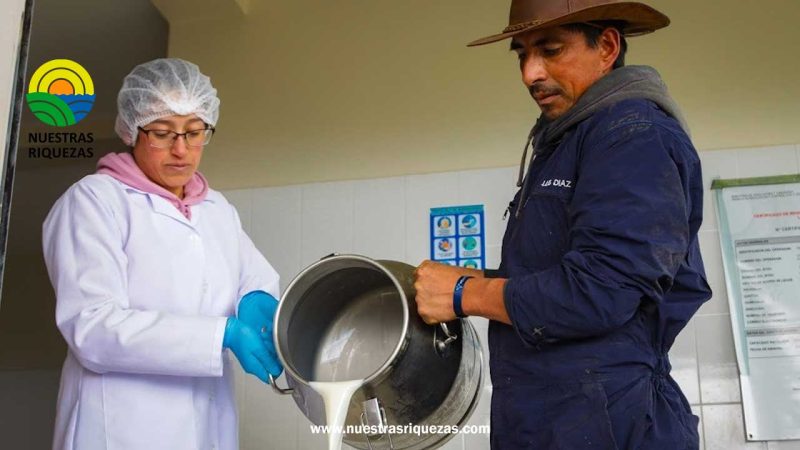 Baquerizo Moreno tendrá vacas que producirán leche A2A2