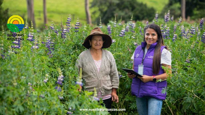 Ministerio de Agricultura y Ganadería inicia el Registro Nacional Agropecuario en seis provincias