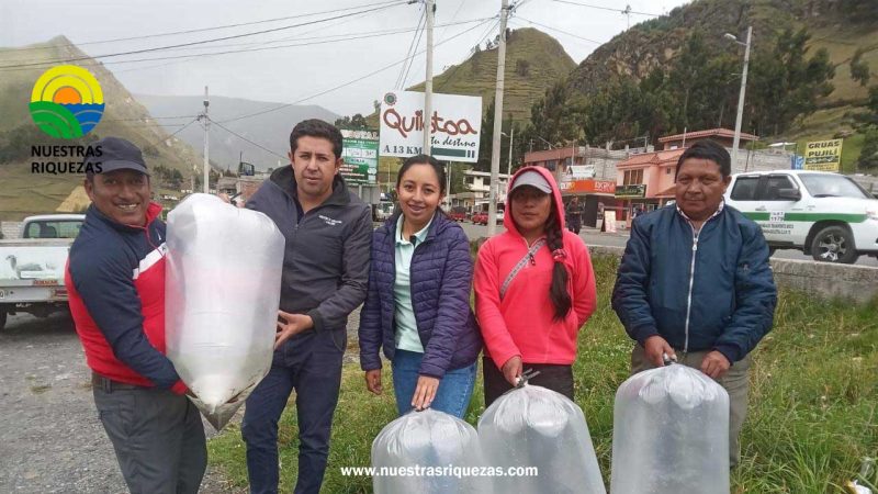 60 familias de Cotopaxi reciben alevines de trucha