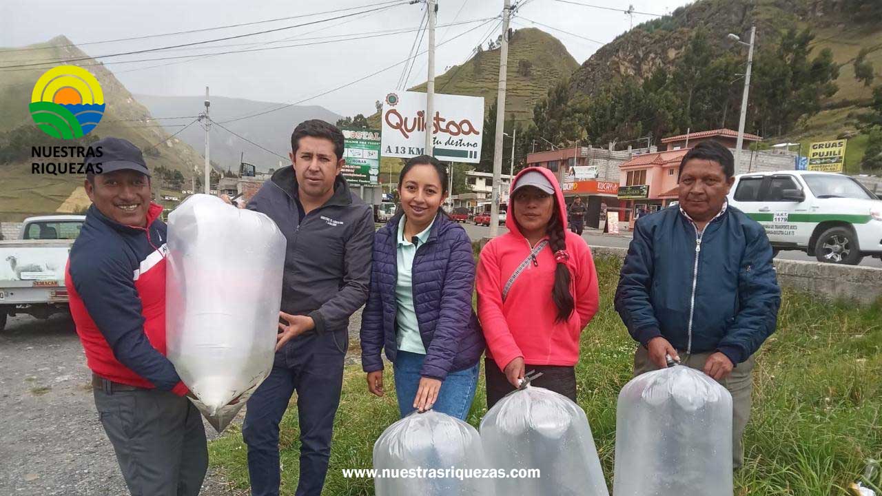 60 familias de Cotopaxi reciben alevines de trucha