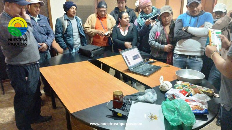 Capacitación en apicultura fortalece a productores del cantón Loja