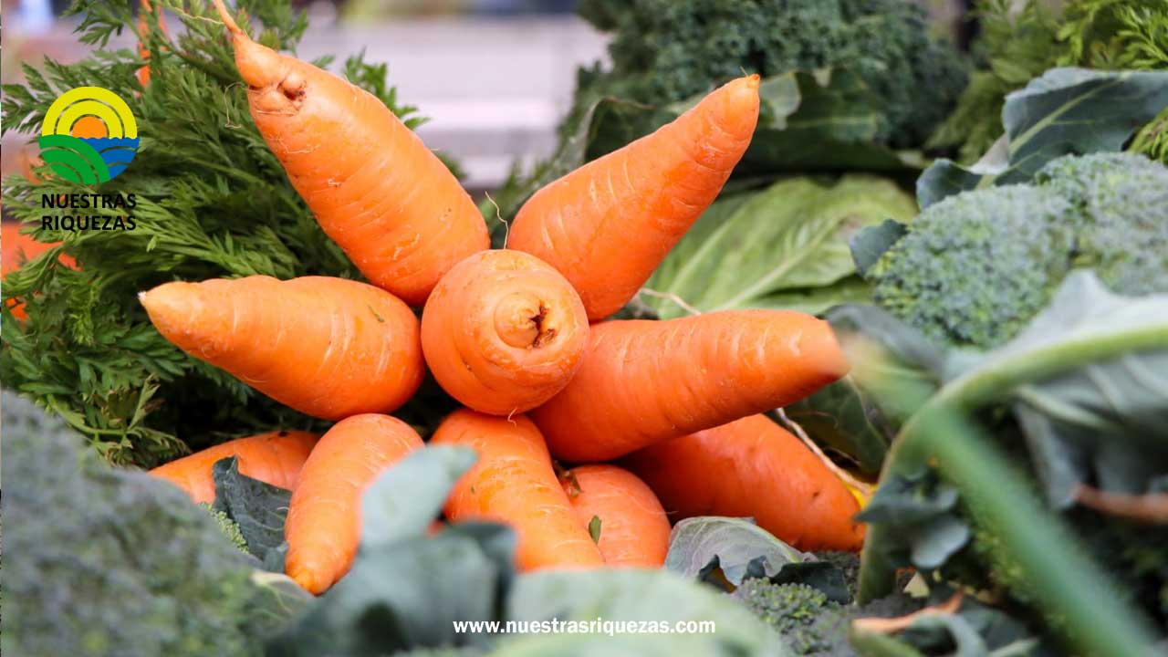 MAG, Agrocalidad y Asamblea trabajan de manera articulada para tener leyes que garanticen productos de calidad