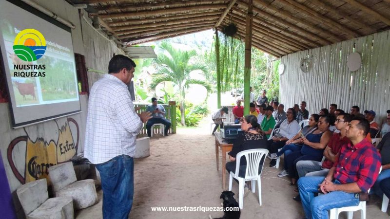MAG trabaja en estabilización genética de bovinos adaptados al trópico de la provincia de Manabí