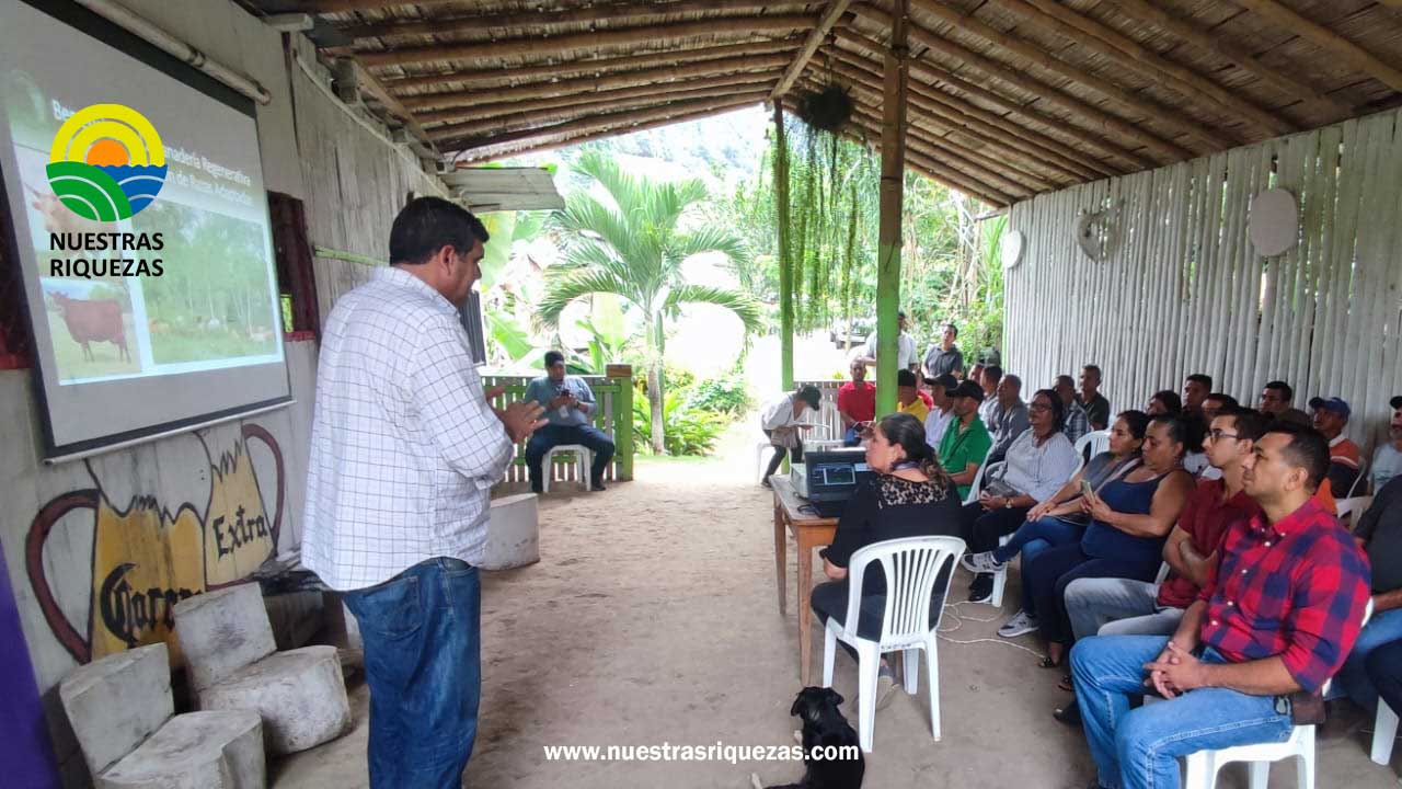 MAG trabaja en estabilización genética de bovinos adaptados al trópico de la provincia de Manabí