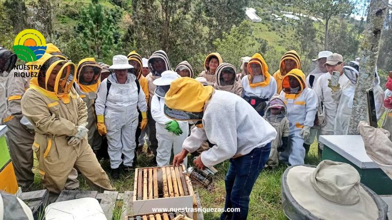 Productores de Azuay se capacitan en sanidad de colmenas, a través de la Escuela de Apicultura «Colmena»