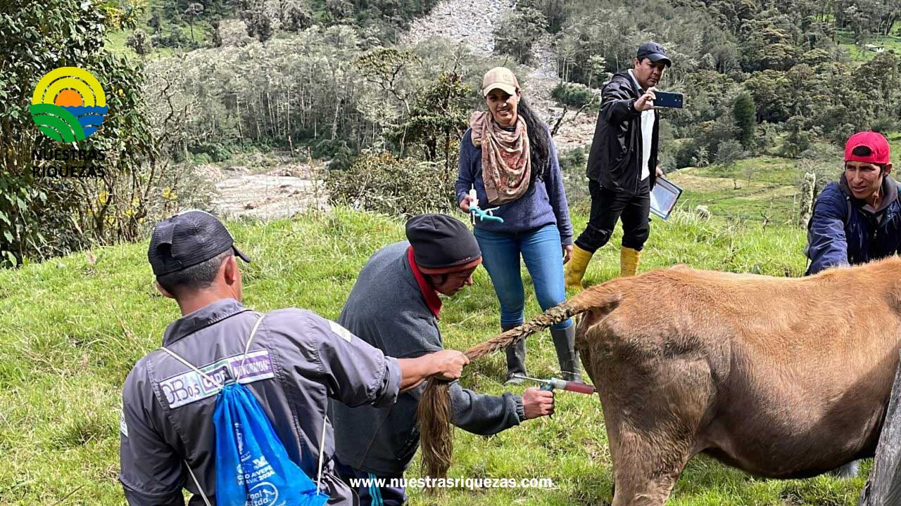Productores de Oyacachi reciben apoyo del MAG tras adversidades climáticas