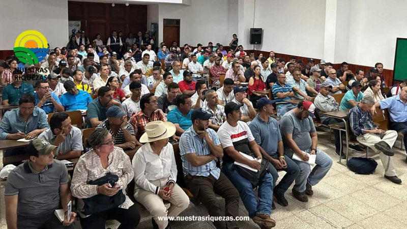 Se intensifica la vigilancia para la detección de brotes de moko en musáceas