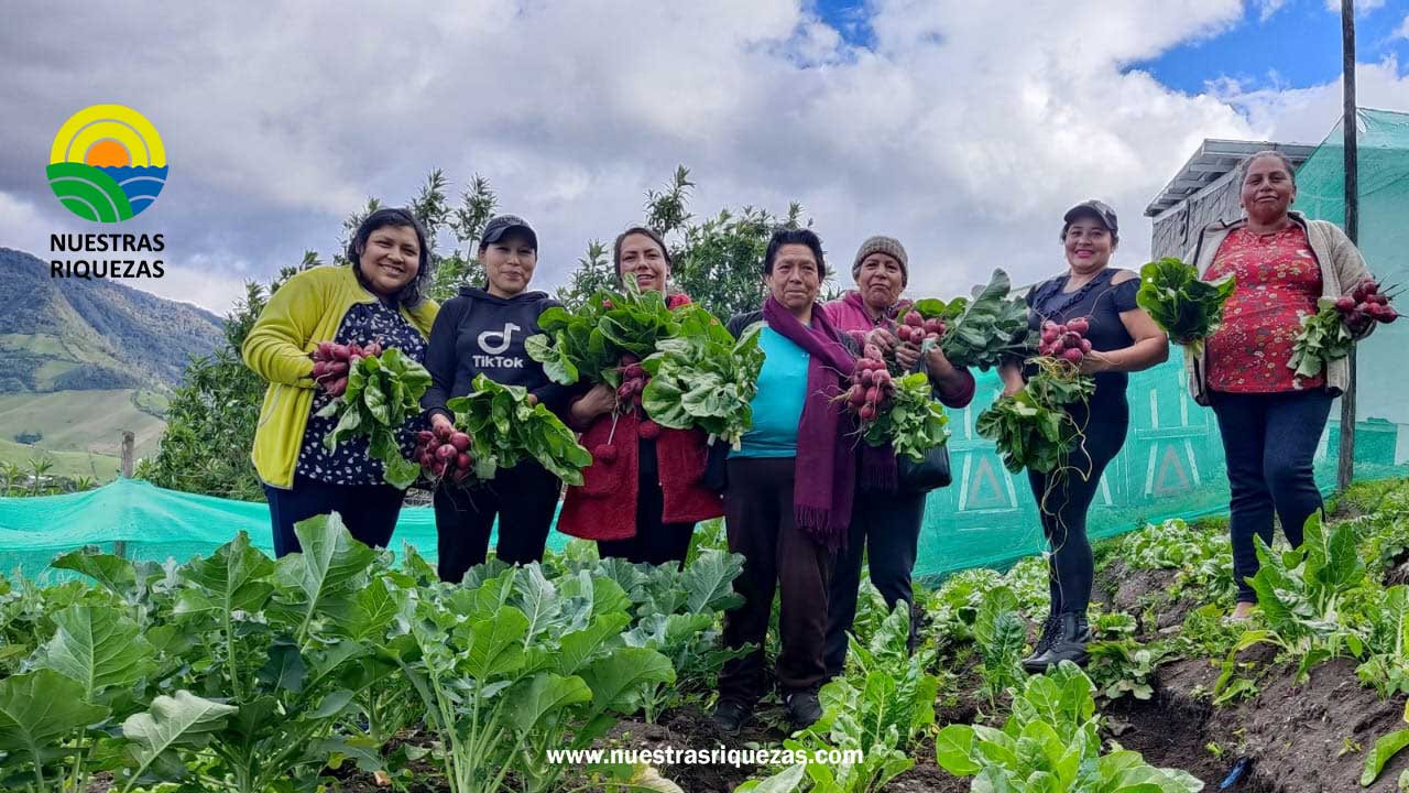 A través de las Comunidades de Aprendizaje, agricultores de la AFC de Carchi fortalecen sus conocimientos