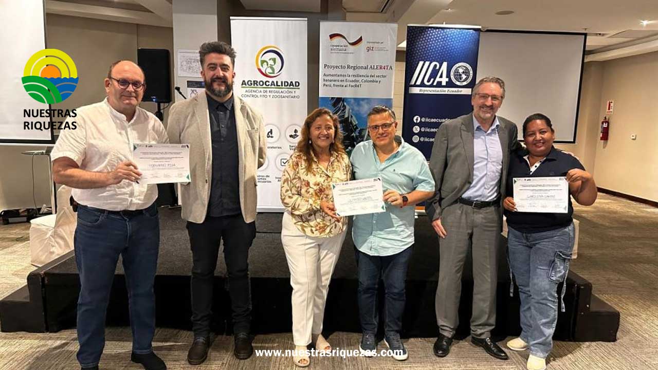 CASI UN CENTENAR DE PRODUCTORES DE BANANO Y PLÁTANO DE ECUADOR SE CAPACITAN EN PREVENCIÓN Y CONTROL DE PLAGAS EN PROYECTO DE GIZ Y EL IICA