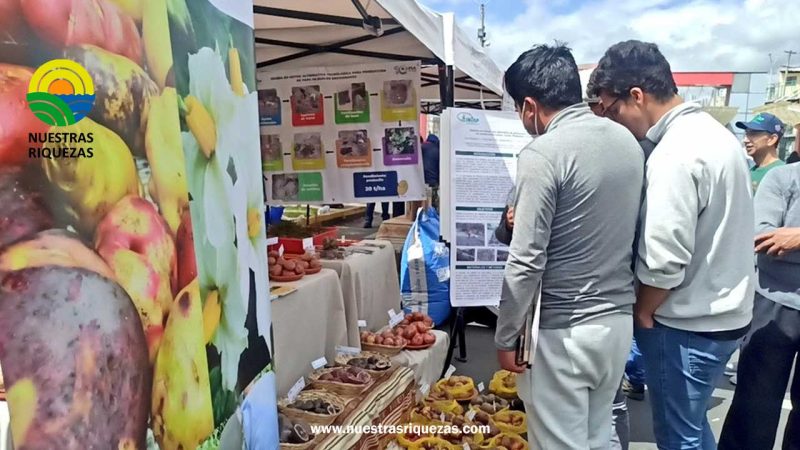 Día Nacional de la Papa se celebró en Chimborazo