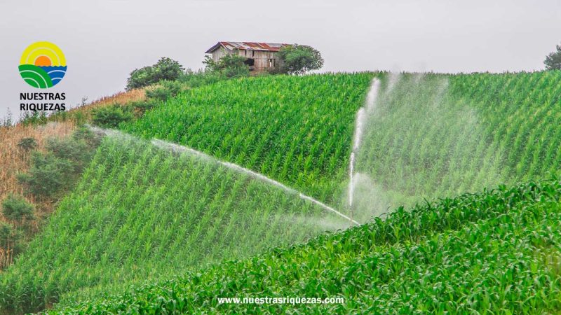 Ecuador y Bolivia fortalecen conocimientos en riego parcelario tecnificado y gestión del agua