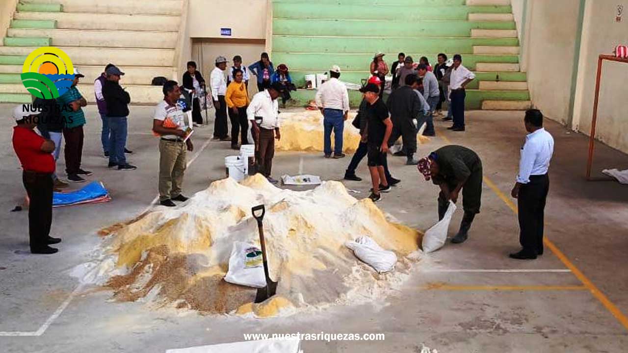 En Changaimina, 80 ganaderos se benefician con elaboración de sales minerales