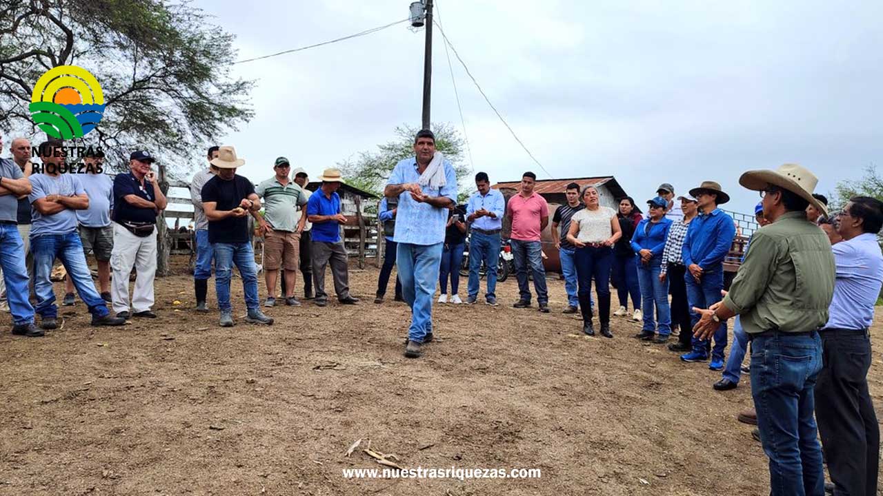 Ganaderos de Manabí aprenden prácticas para hacer una ganadería regenerativa