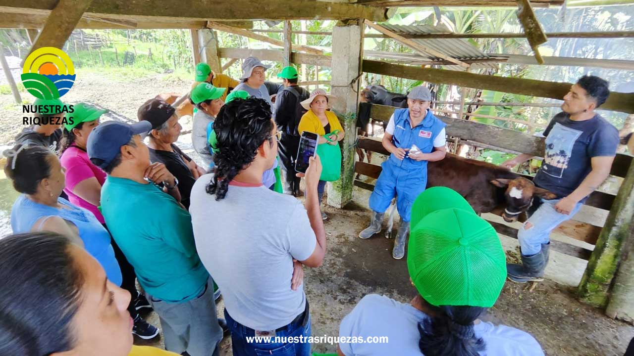 Ganaderos de noroccidente de Pichincha se capacitan en bienestar animal