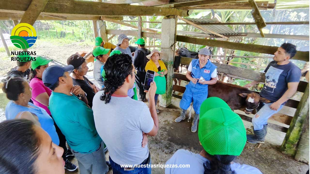 Ganaderos de noroccidente de Pichincha se capacitan en bienestar animal