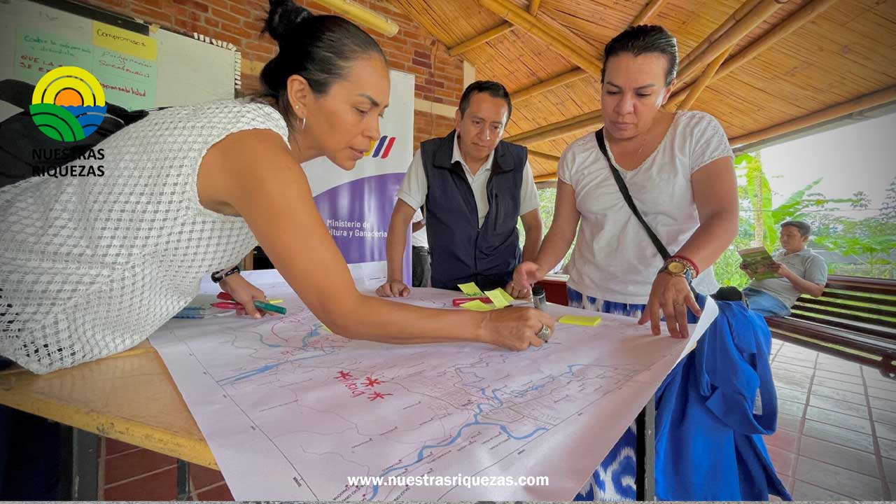 Iniciativa “Ruta Agro Productiva de la Guayusa en Napo” continúa fortaleciéndose