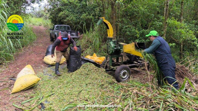 MAG coordina acciones interinstitucionales para suplir el déficit de alimento para ganado afectado por la sequía