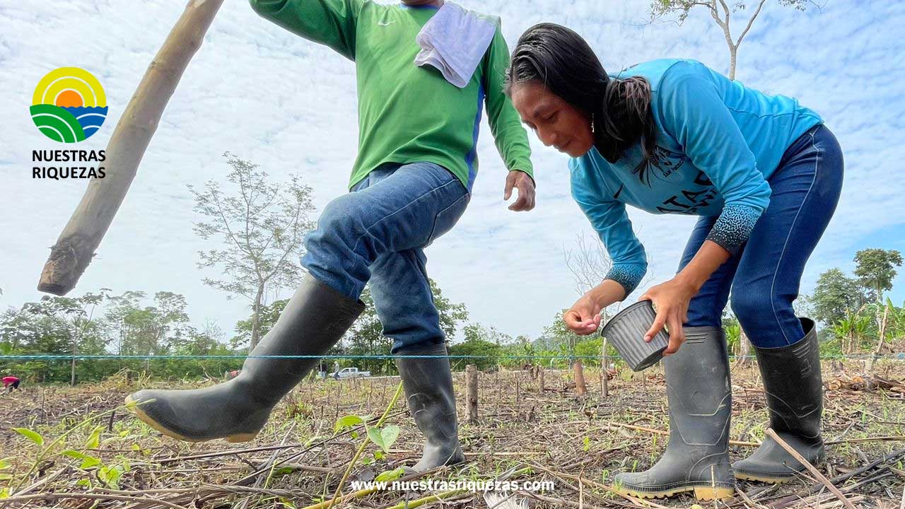 MAG entrega kits de maíz de alto rendimiento en Napo