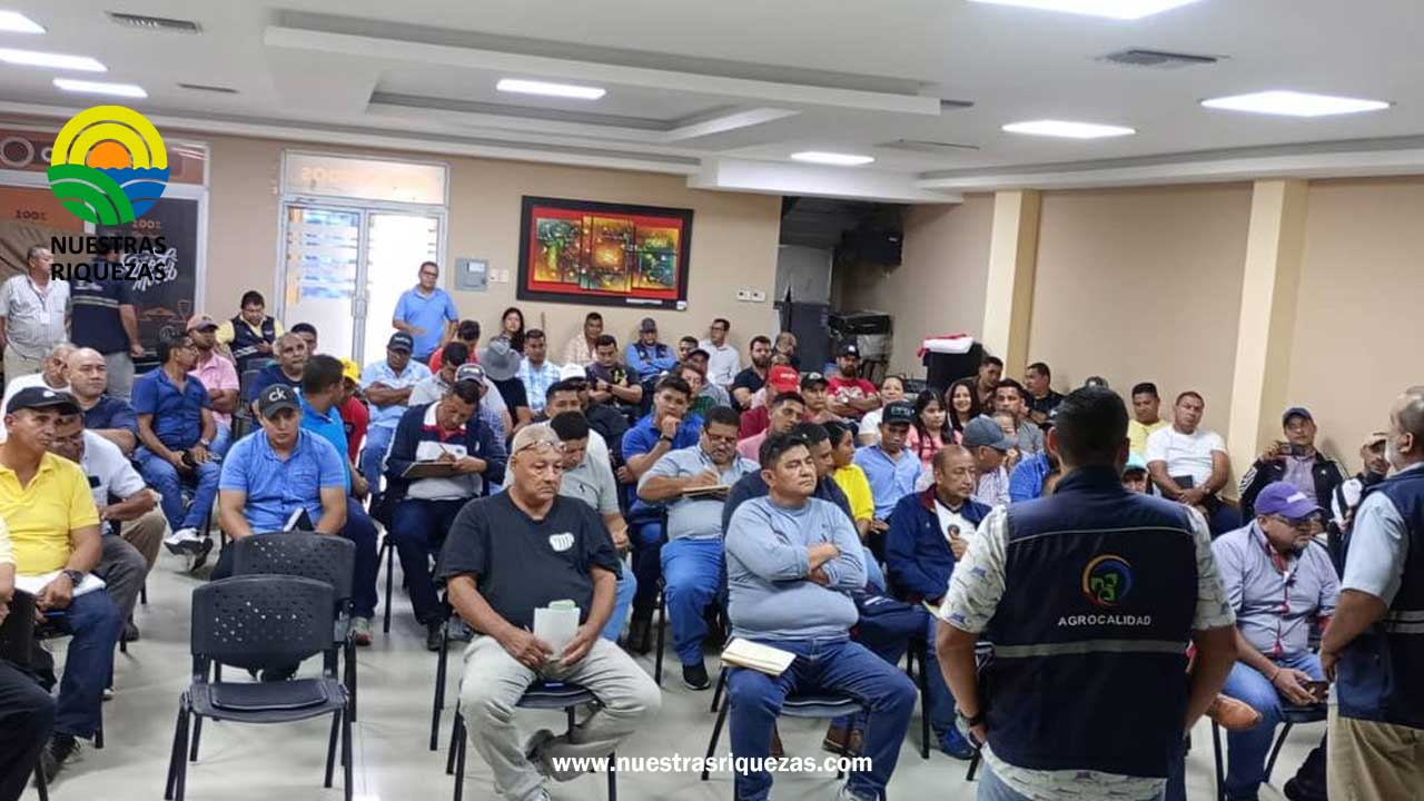 MAG impulsa capacitaciones para el sector de musáceas de la provincia de Los Ríos