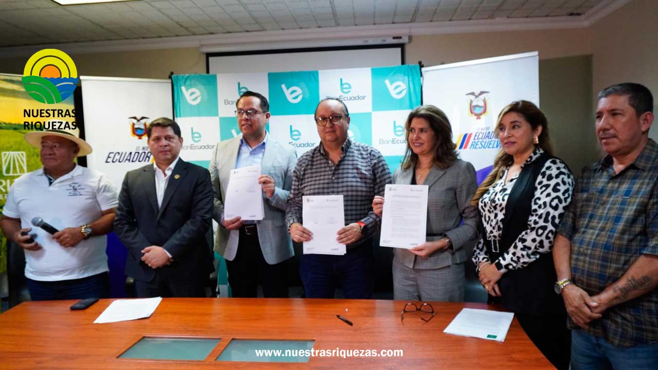 Gobierno, productores e industriales se unen para crear líneas de financiamiento para el sector arrocero