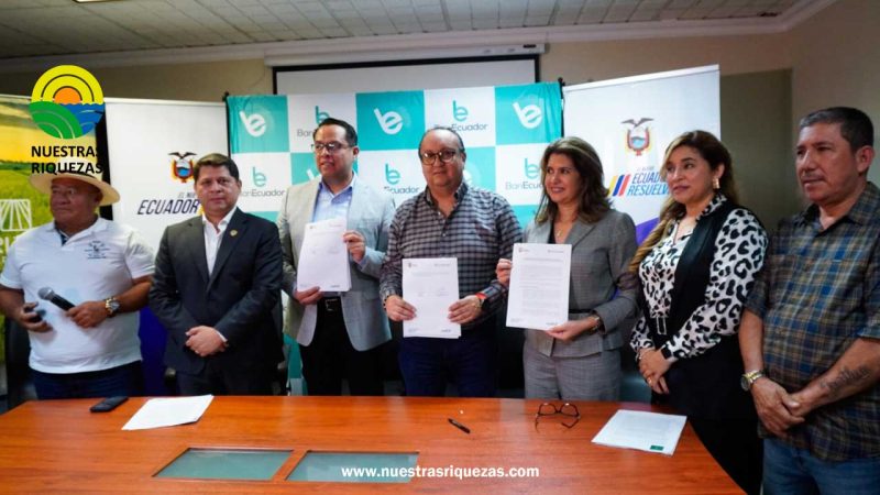 Gobierno, productores e industriales se unen para crear líneas de financiamiento para el sector arrocero