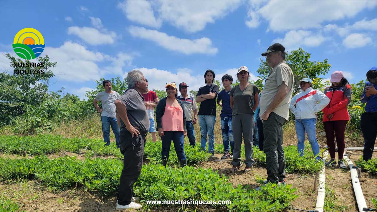 MAG motiva a productores de Santa Elena a cultivar maní
