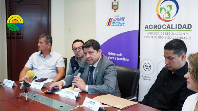 MAG y Agrocalidad conforman un Comité técnico científico para controlar enfermedad del Moko