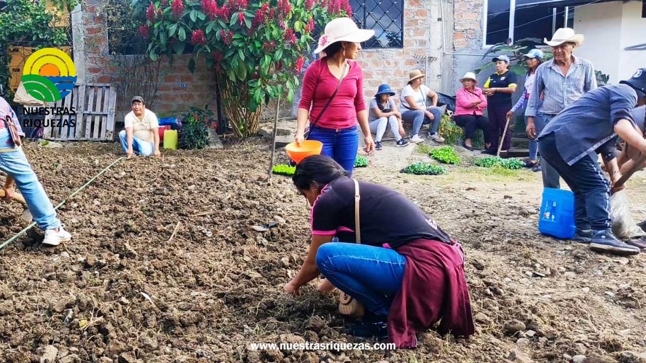 Taller de trasplante y manejo de hortalizas en Gonzanamá fortalece capacidades de productores locales