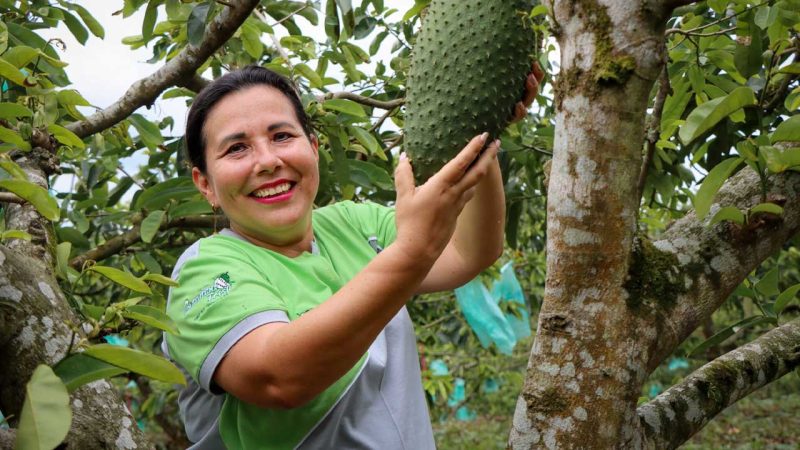 MAG y AGROCALIDAD convocan a postular a la II Edición de premios Ecuador Orgánico
