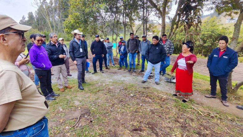 Para conservar y recuperar suelos, MAG implementa acciones en cuatro provincias de la Sierra