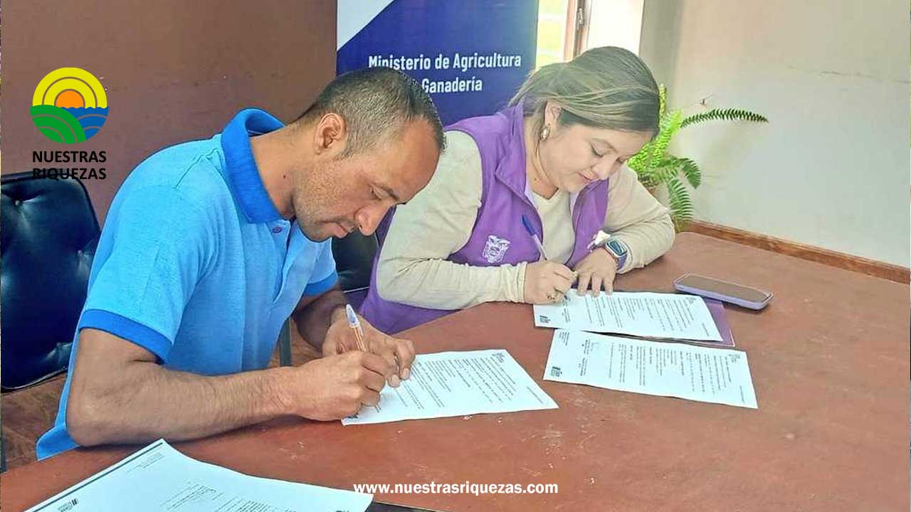 Proyecto para el control de la mosca de la fruta en la parroquia Bulán