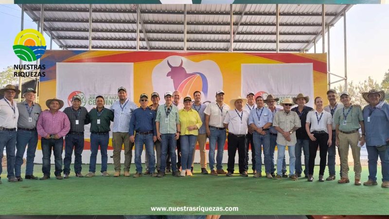 1er Encuentro Internacional de Jueces de Razas Cebuínas