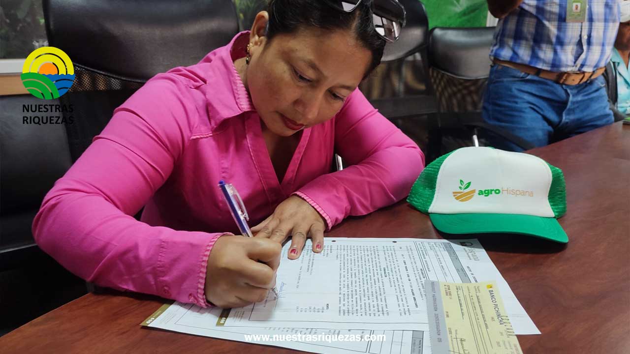 29 productores de Manabí recibieron indemnización por pérdidas de cultivos de maíz