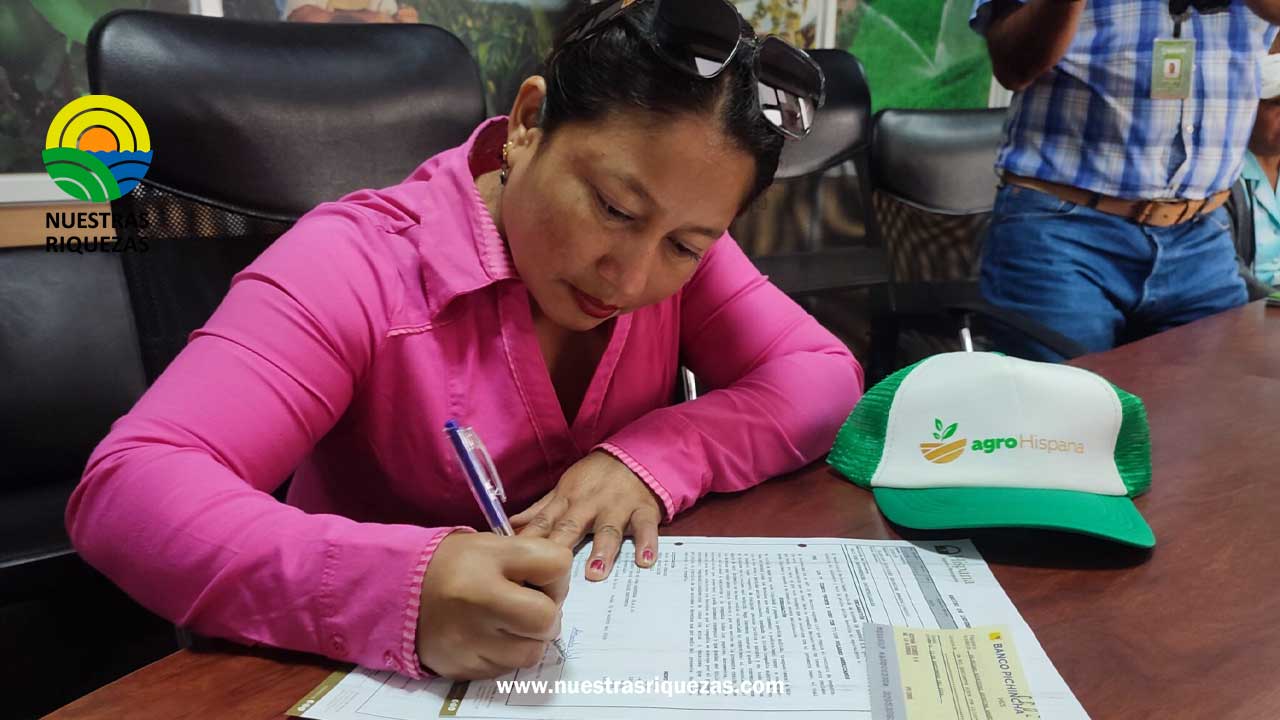 29 productores de Manabí recibieron indemnización por perdidas de cultivos de maíz