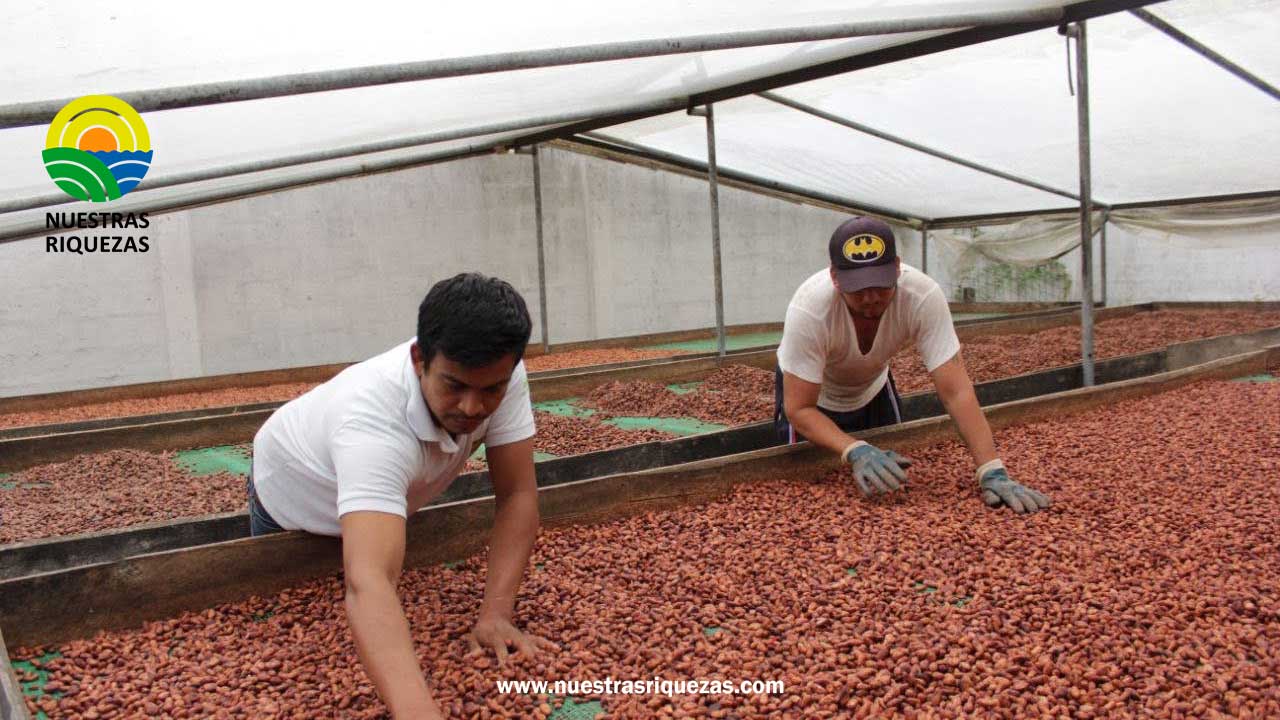 Ampliación de la entrada en vigencia del Reglamento EUDR permitirá fortalecer los procesos de trazabilidad para el ingreso de productos agropecuarios al mercado europeo