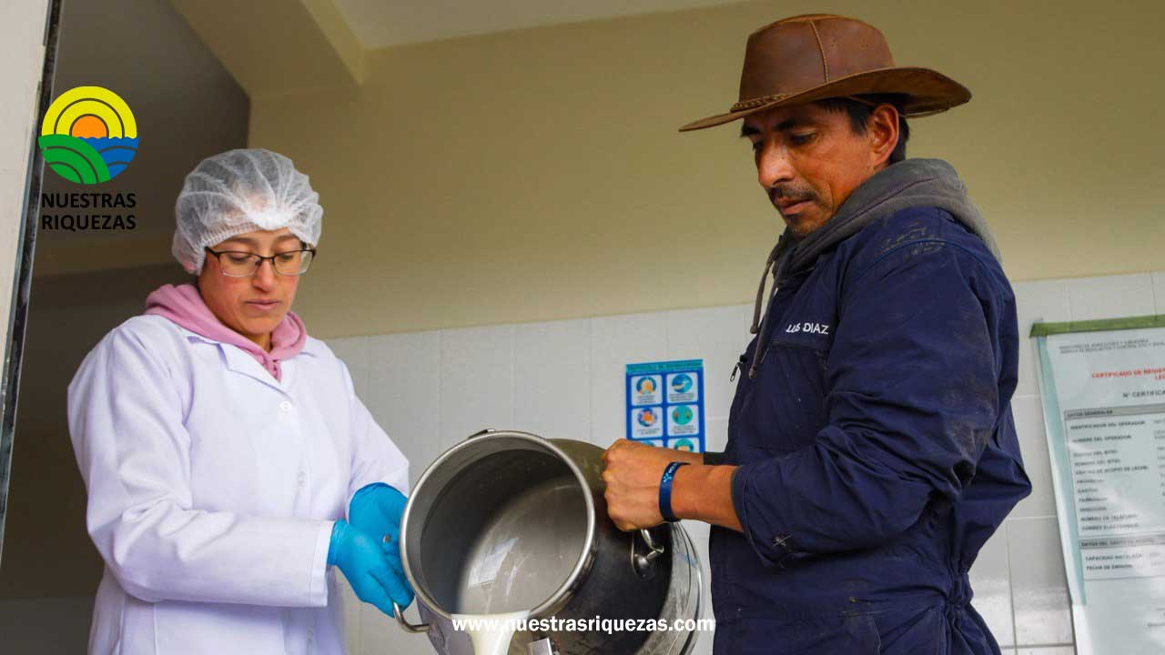 Ecuador ya puede exportar productos lácteos a Chile