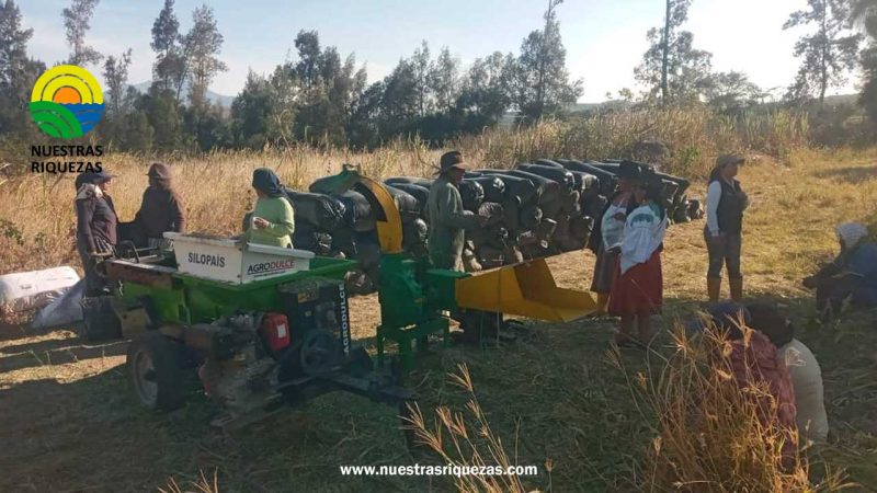 MAG entrega ensilaje a más de ochenta productores de Imbabura