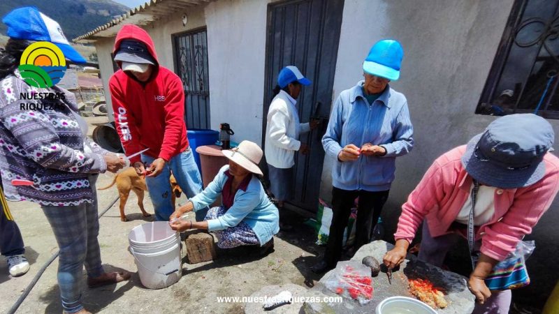 MAG potencializa la agricultura orgánica en Quito