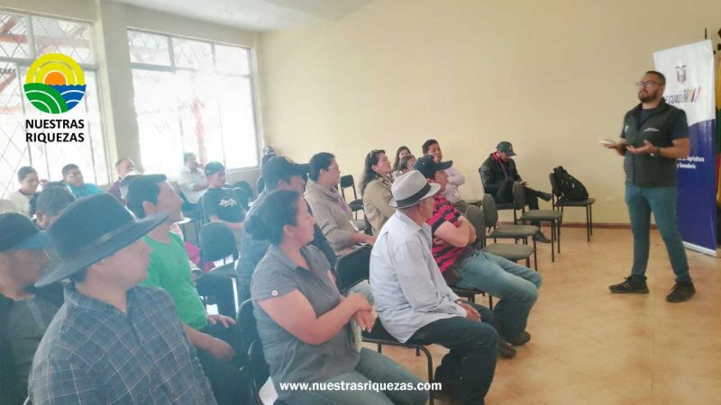 MAG realiza socialización del precio de la leche en cantones de Azuay