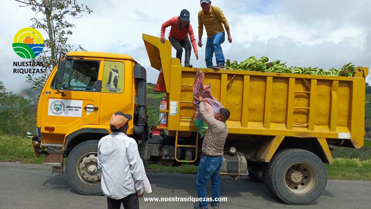 Productores de Bolívar, afectados por la sequía, reciben rechazo de banano y silo de maíz