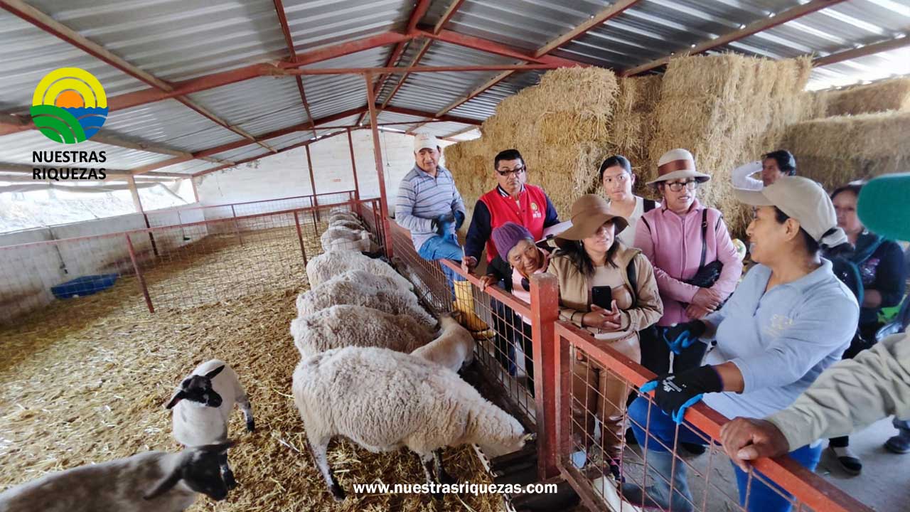 Productores del cantón Quito visitan emprendimiento de ovinos en Pedro Moncayo