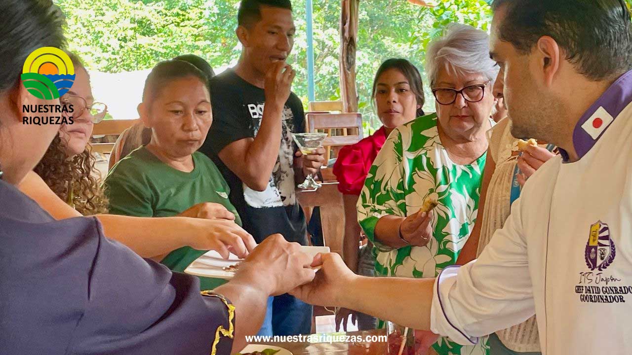 Ruta Agroproductiva de la Guayusa, un atractivo clave en Napo