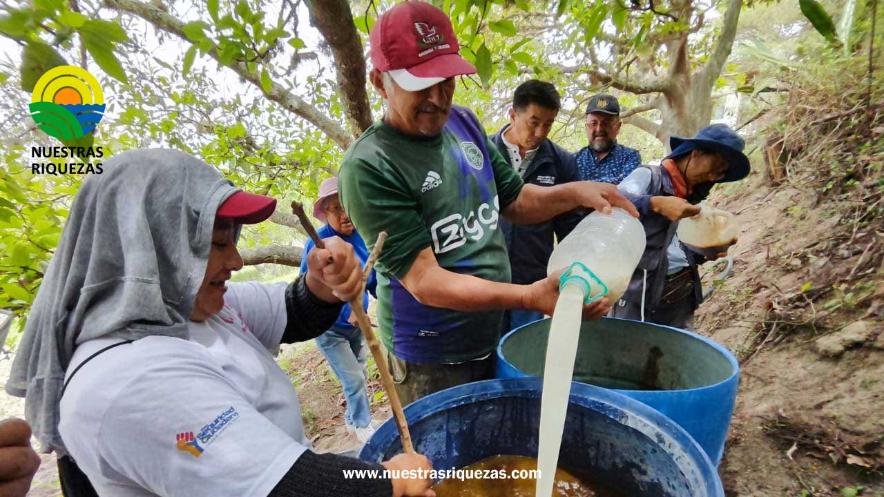 Agricultores de Guayllabamba apuestan por una agricultura agroecológica