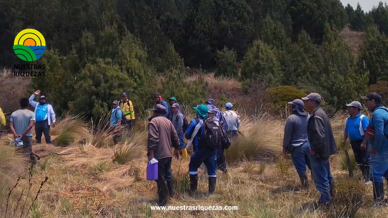 MAG apoya a productores afectados por incendio forestal en el cantón Chilla
